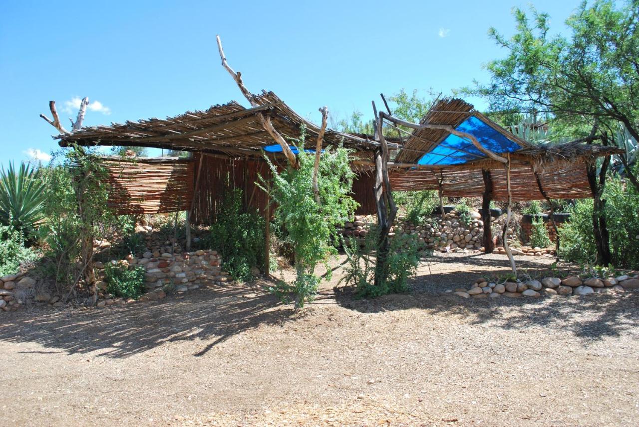 Amber Lagoon Backpackers Lodge Vleirivier エクステリア 写真