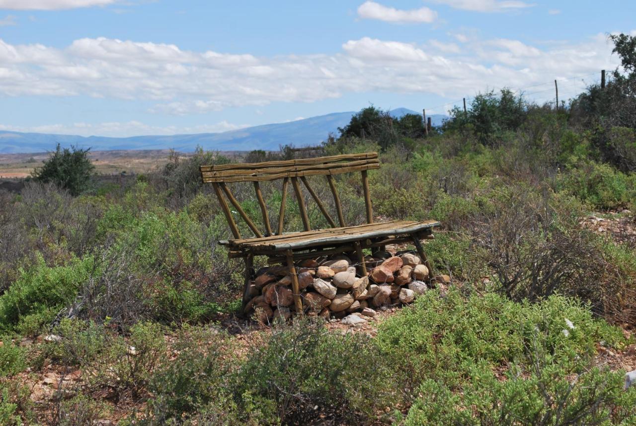 Amber Lagoon Backpackers Lodge Vleirivier エクステリア 写真