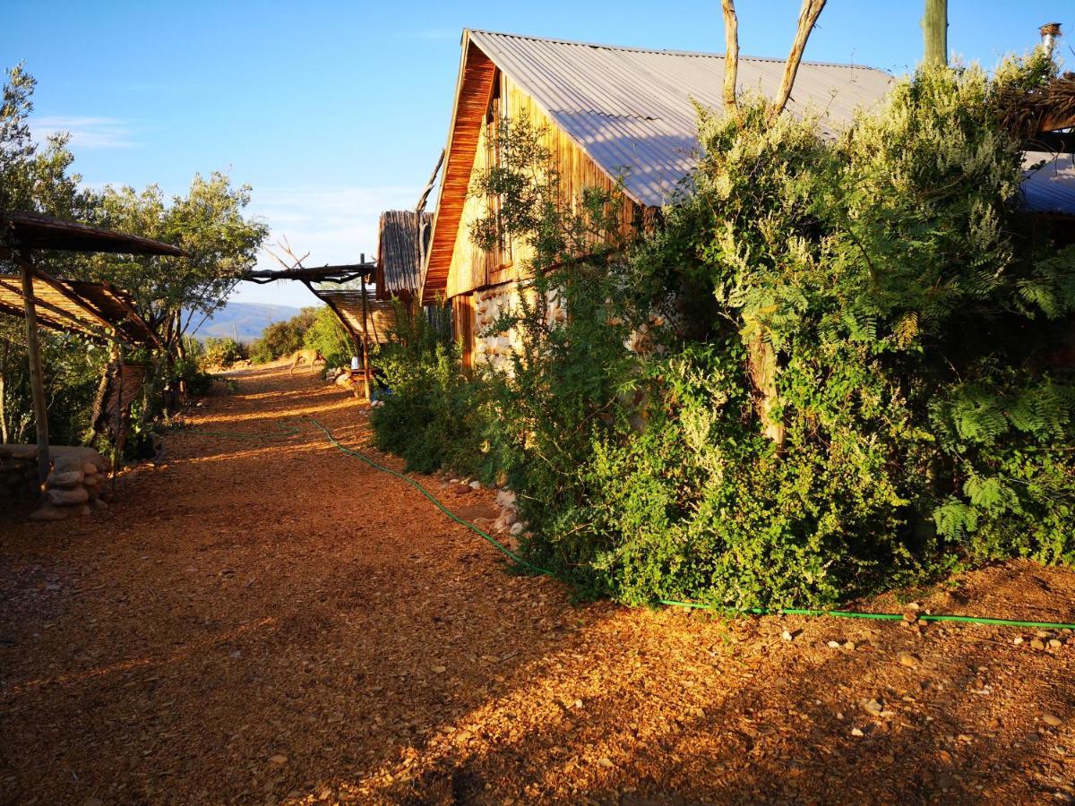 Amber Lagoon Backpackers Lodge Vleirivier エクステリア 写真
