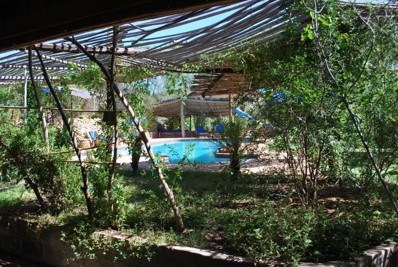 Amber Lagoon Backpackers Lodge Vleirivier エクステリア 写真
