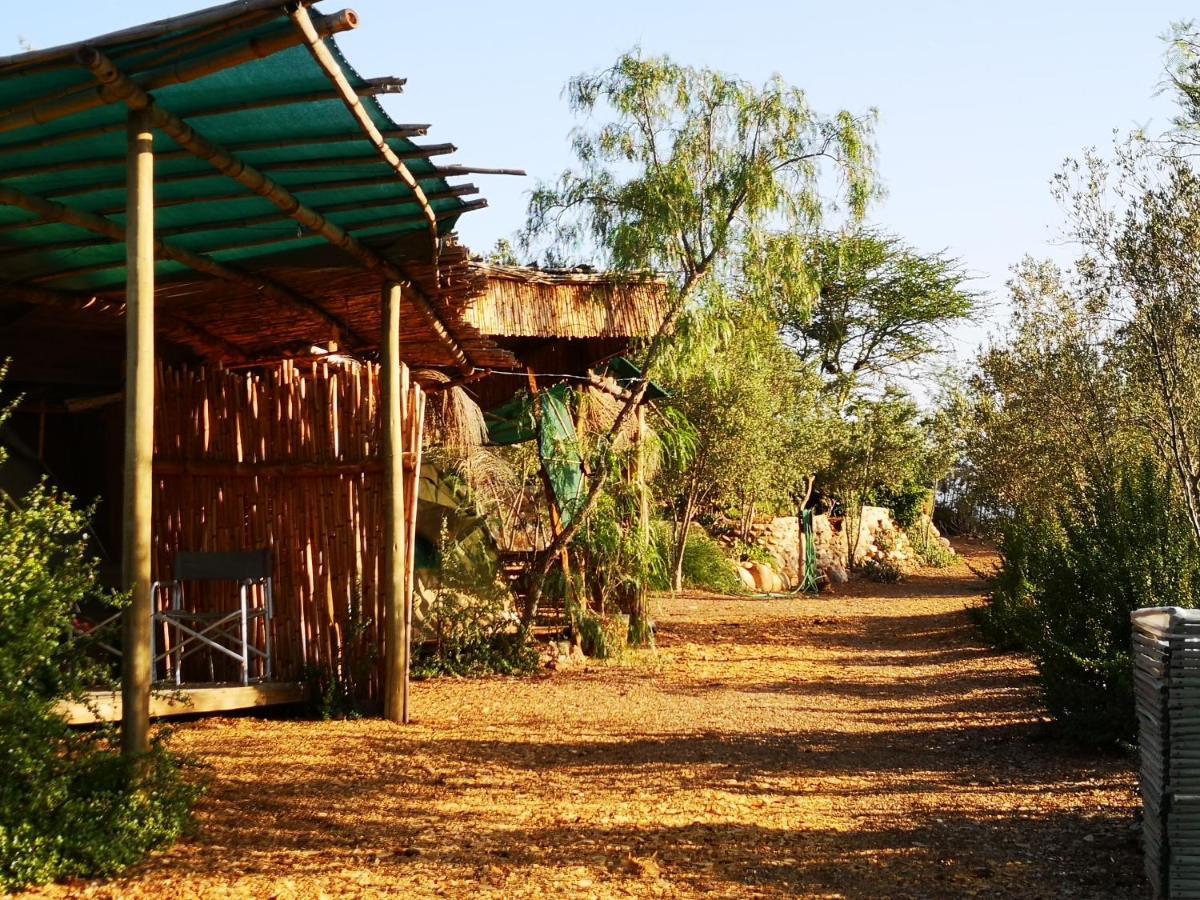 Amber Lagoon Backpackers Lodge Vleirivier エクステリア 写真