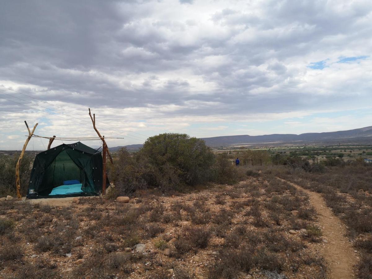 Amber Lagoon Backpackers Lodge Vleirivier エクステリア 写真