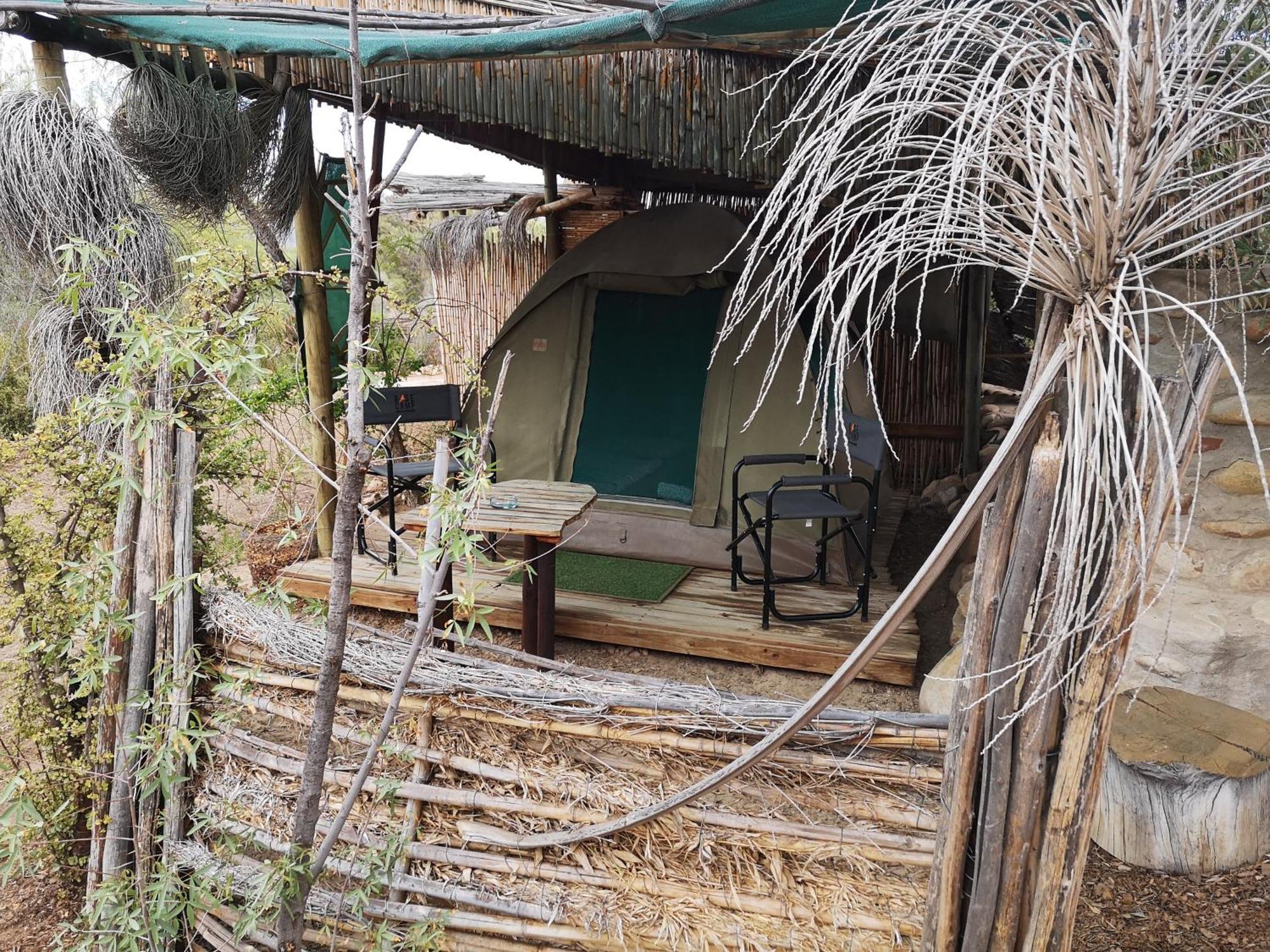 Amber Lagoon Backpackers Lodge Vleirivier 部屋 写真
